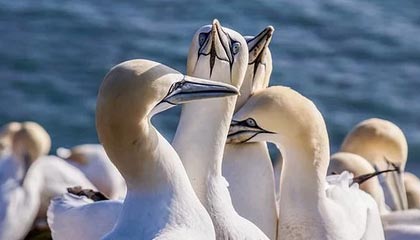 抖音涨粉神器：轻松提升粉丝数的秘密武器